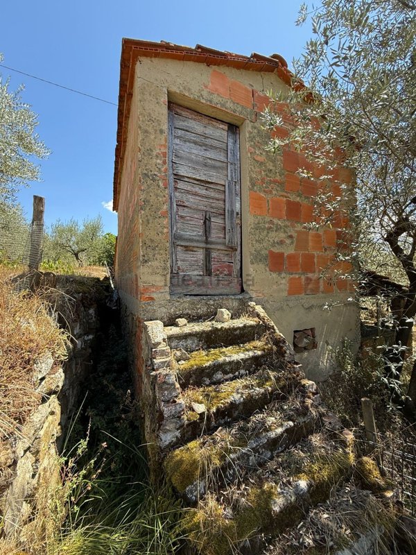terreno agricolo in vendita a Laterina Pergine Valdarno