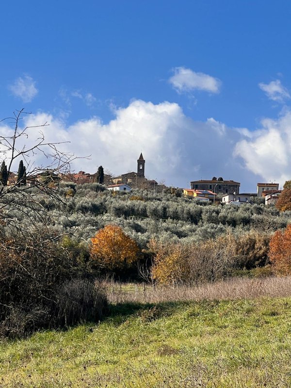 terreno agricolo in vendita a Laterina Pergine Valdarno in zona Pergine Valdarno
