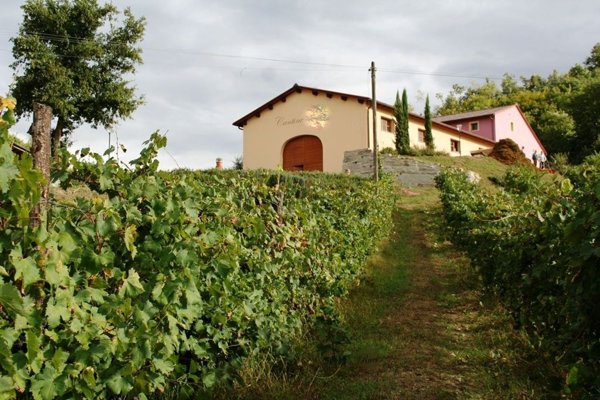 azienda agricola in vendita a Laterina Pergine Valdarno