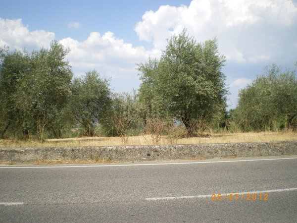 terreno agricolo in vendita a Laterina Pergine Valdarno