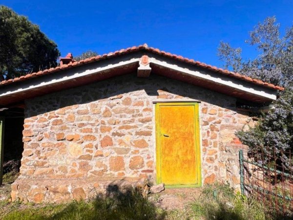 terreno agricolo in vendita a Laterina Pergine Valdarno