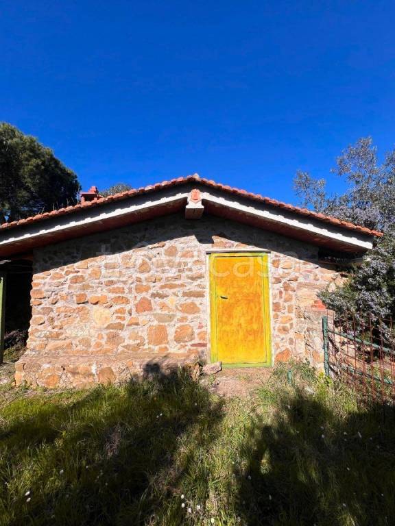 terreno agricolo a Laterina Pergine Valdarno in zona Pieve a Presciano
