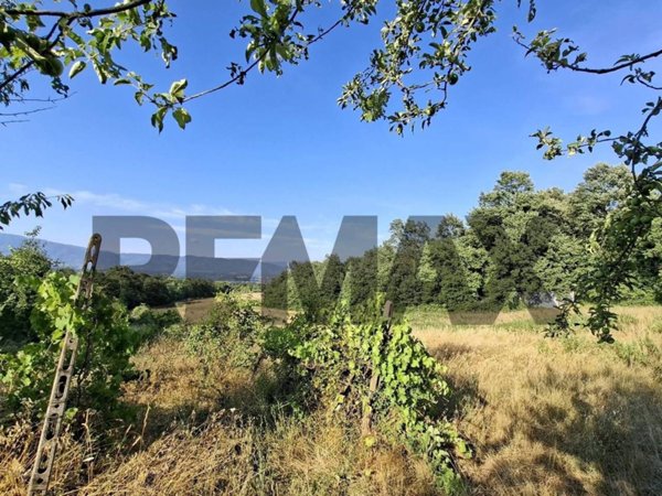 terreno agricolo in vendita a Laterina Pergine Valdarno in zona Poggio Bagnoli