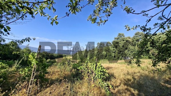 terreno agricolo in vendita a Laterina Pergine Valdarno in zona Poggio Bagnoli