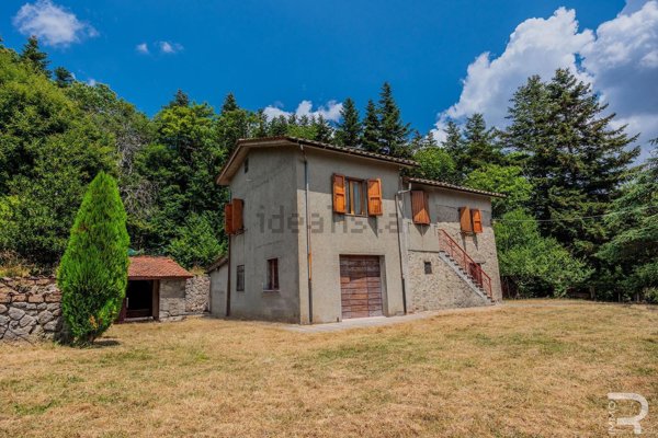 esavano in vendita ad Abbadia San Salvatore