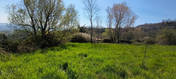 terreno agricolo in vendita ad Abbadia San Salvatore