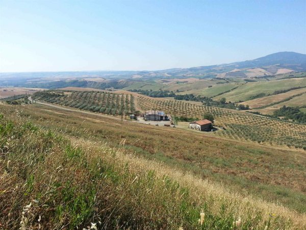 esavano in vendita ad Abbadia San Salvatore