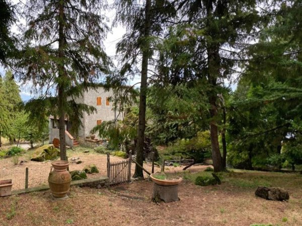 casa indipendente in vendita ad Abbadia San Salvatore in zona Zaccaria