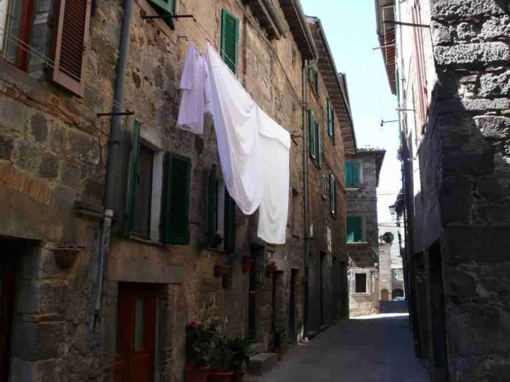 locale commerciale in vendita ad Abbadia San Salvatore