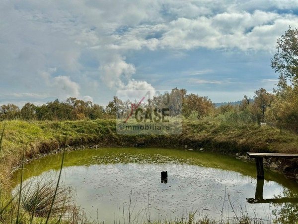 terreno agricolo in vendita ad Abbadia San Salvatore