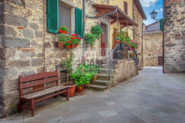 casa indipendente in vendita ad Abbadia San Salvatore