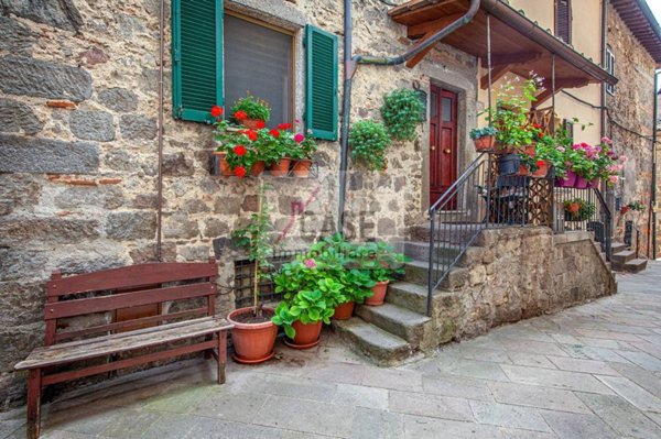 casa indipendente in vendita ad Abbadia San Salvatore