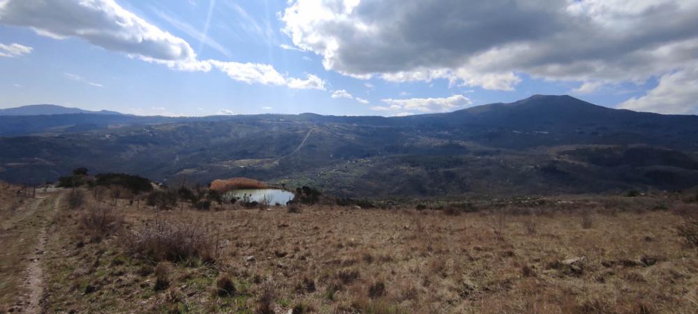 azienda agricola in vendita ad Abbadia San Salvatore in zona Zaccaria