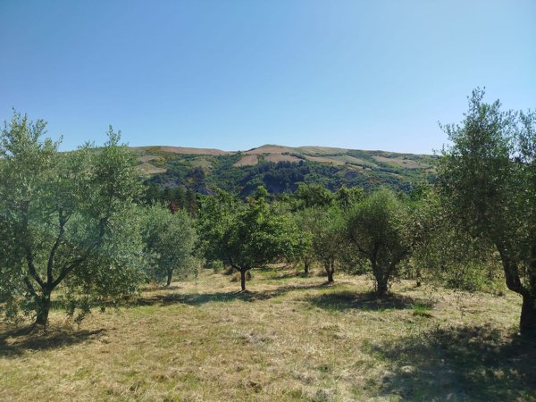 locale di sgombero in vendita ad Abbadia San Salvatore