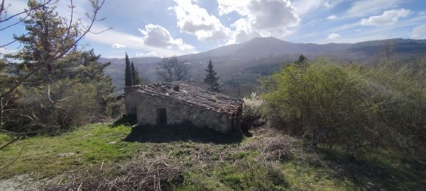 casale in vendita ad Abbadia San Salvatore in zona Zaccaria