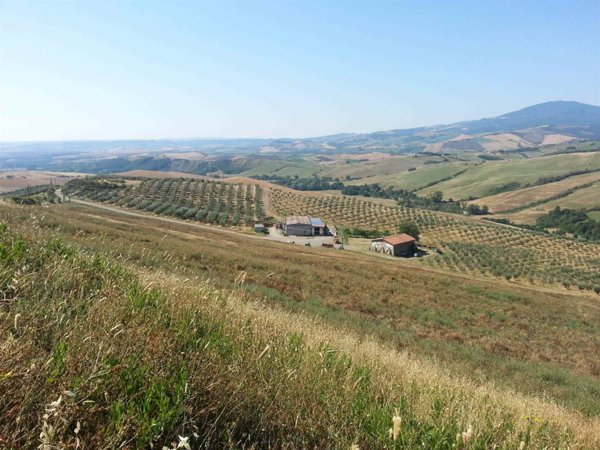 azienda agricola in vendita ad Abbadia San Salvatore in zona Zaccaria