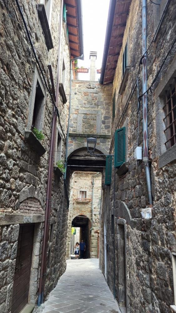 appartamento in vendita ad Abbadia San Salvatore