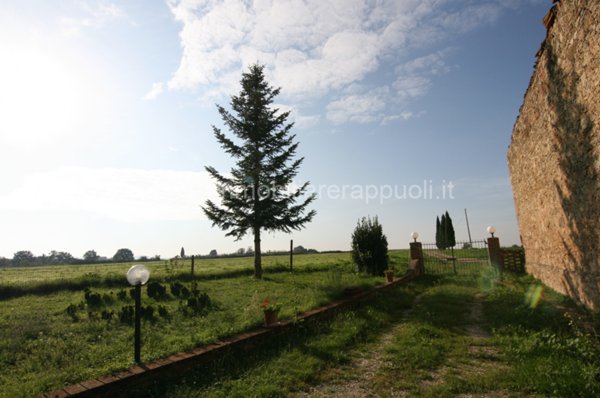 casa indipendente in vendita ad Asciano