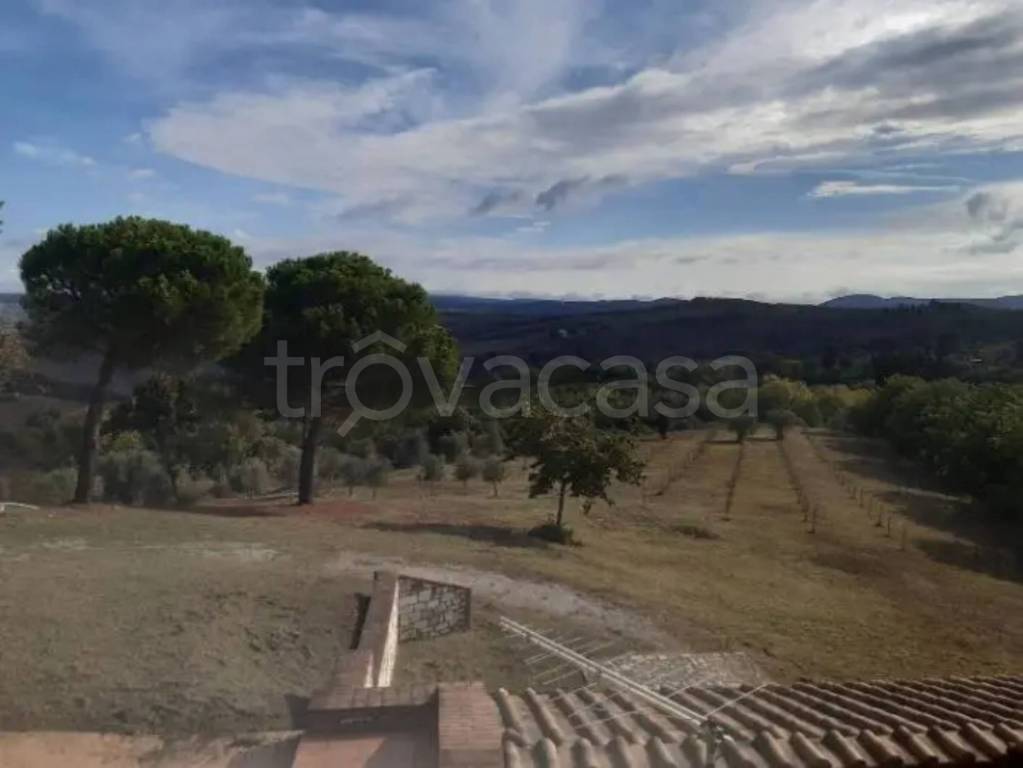 casa indipendente in vendita ad Asciano in zona Chiusure