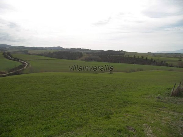 terreno agricolo in vendita ad Asciano