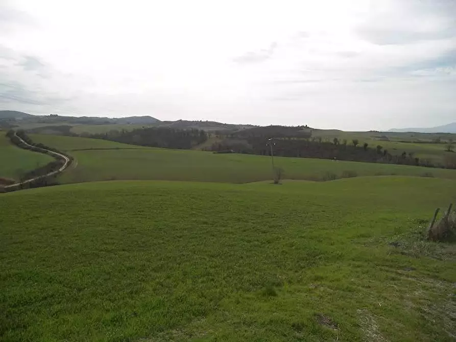 terreno agricolo in vendita ad Asciano