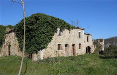 casa indipendente in vendita ad Asciano