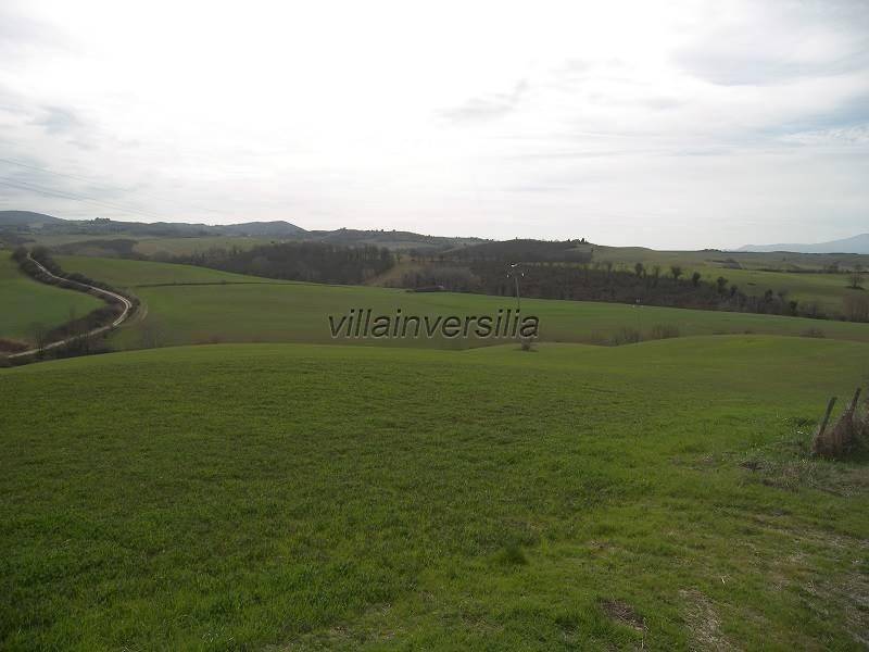 terreno agricolo in vendita ad Asciano