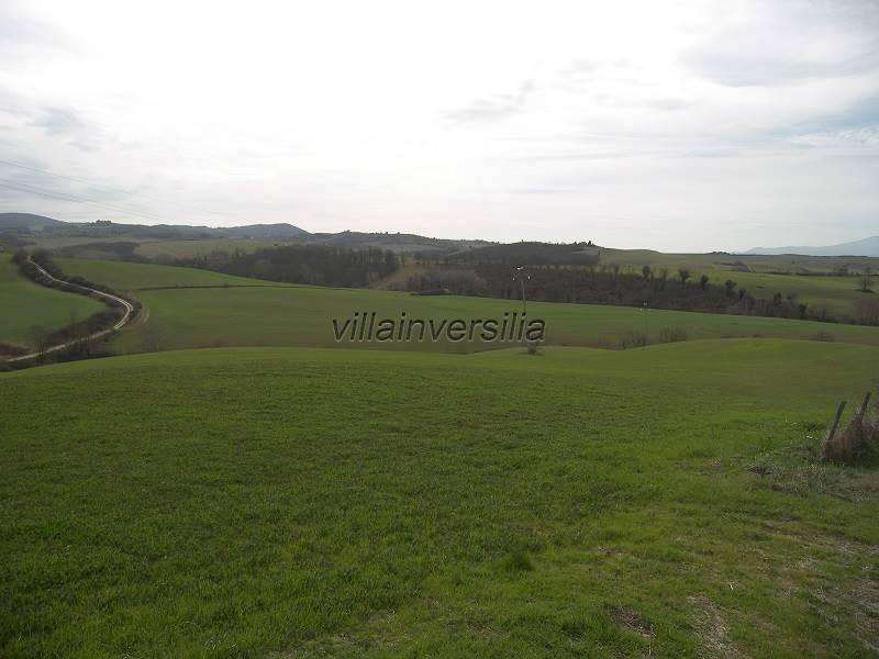 terreno agricolo in vendita ad Asciano