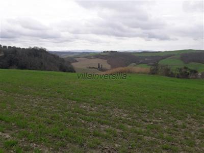 terreno agricolo in vendita ad Asciano