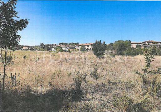 terreno agricolo in vendita ad Asciano