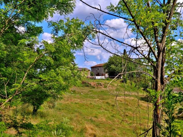 casa indipendente in vendita ad Asciano