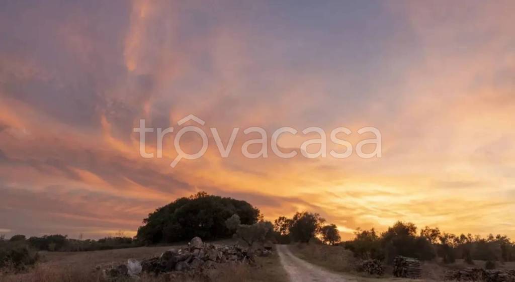 casa indipendente in vendita ad Asciano in zona Torre a Castello