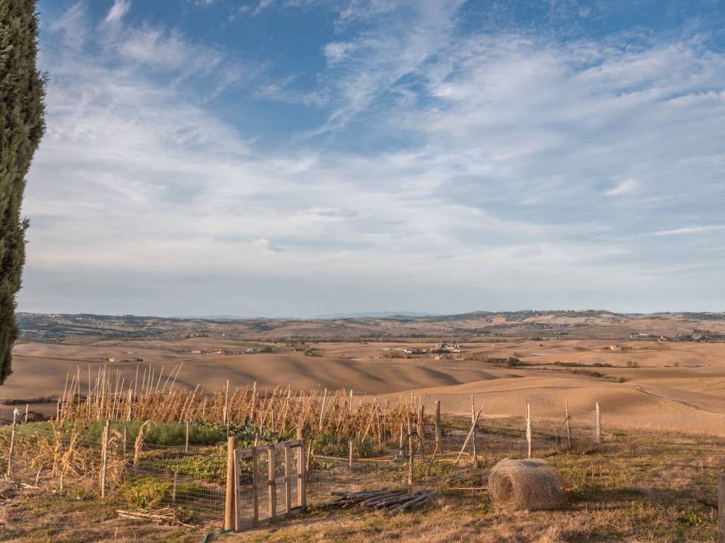 casa indipendente in vendita ad Asciano