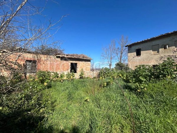 casa indipendente in vendita ad Asciano