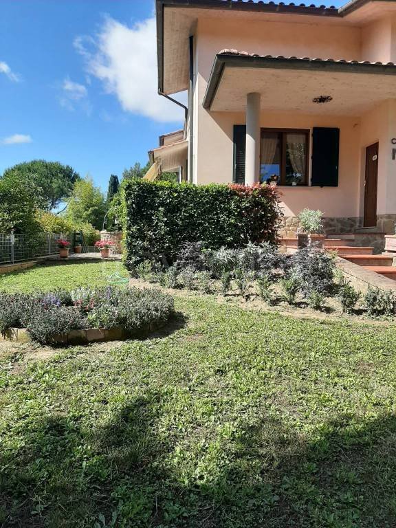 casa indipendente in vendita ad Asciano