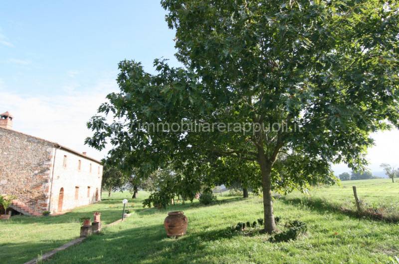 casa indipendente in vendita ad Asciano