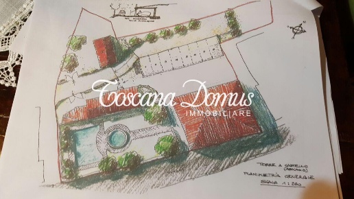 casa indipendente in vendita ad Asciano