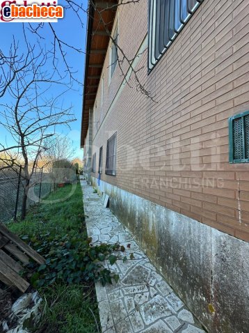 appartamento in vendita ad Asciano