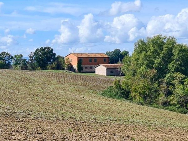 casa indipendente in vendita ad Asciano