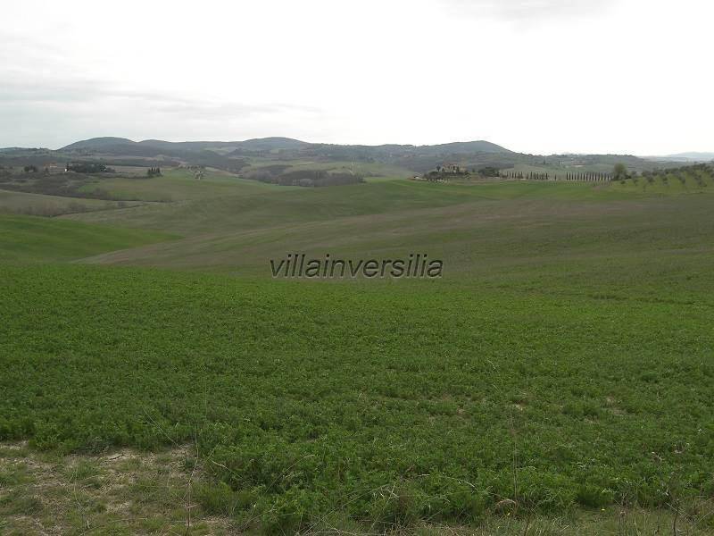 casa indipendente in vendita ad Asciano
