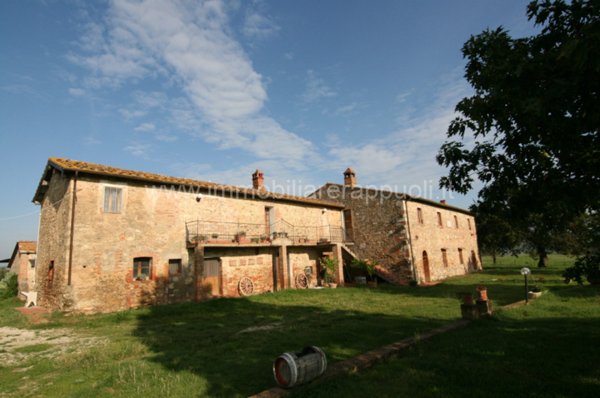 casa indipendente in vendita ad Asciano