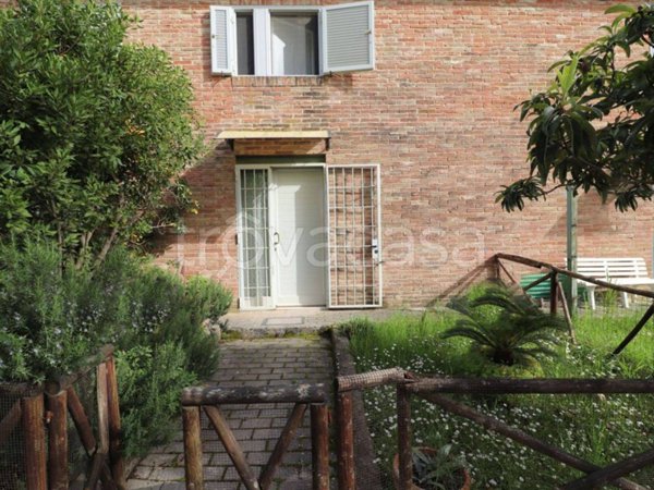 casa indipendente in vendita ad Asciano