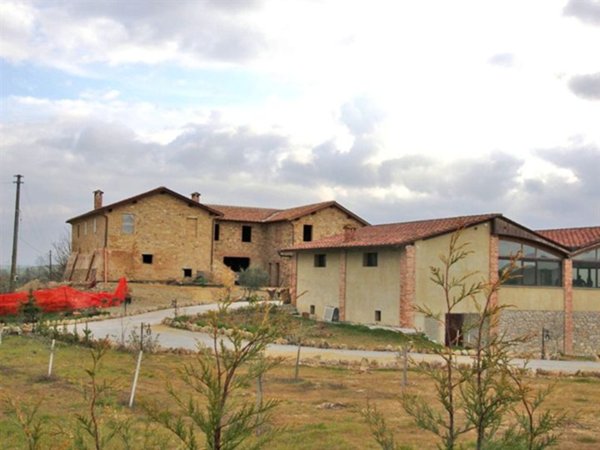 appartamento in vendita ad Asciano