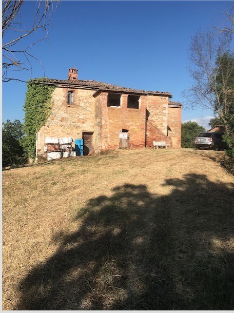 casa indipendente in vendita ad Asciano