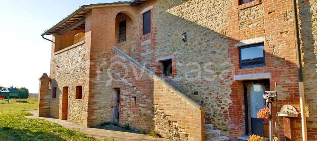 azienda agricola in vendita ad Asciano