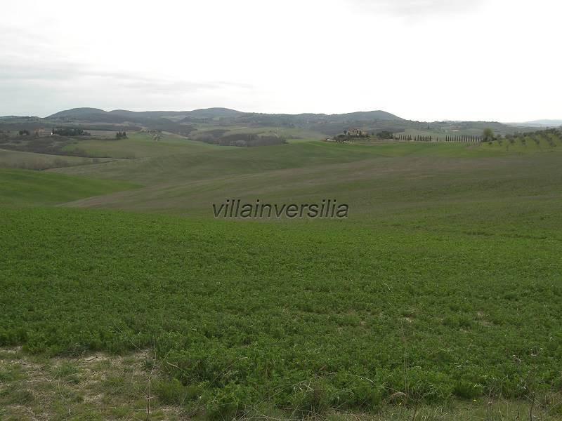 casa indipendente in vendita ad Asciano