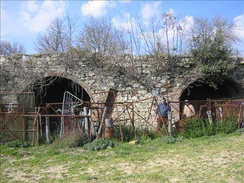 casale in vendita ad Asciano