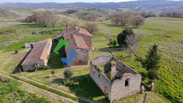 terreno agricolo in vendita ad Asciano