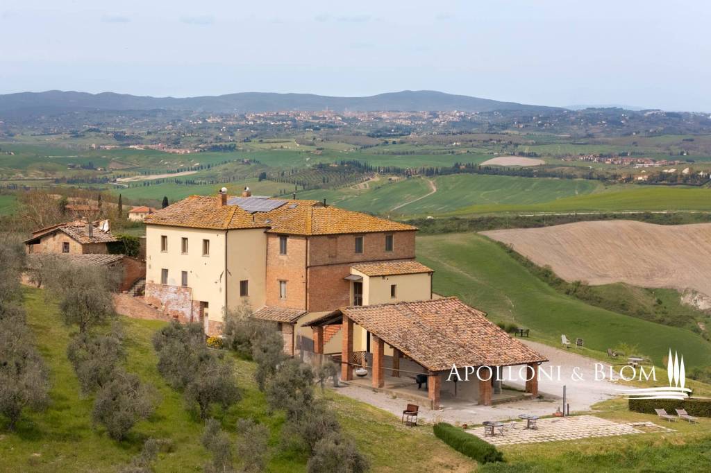 casa indipendente in vendita ad Asciano
