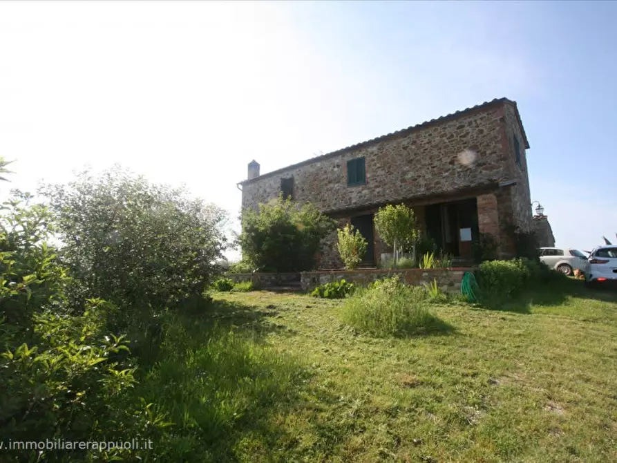 casa indipendente in vendita ad Asciano